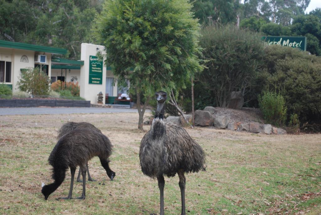 Gariwerd Motel Halls Gap Exterior photo