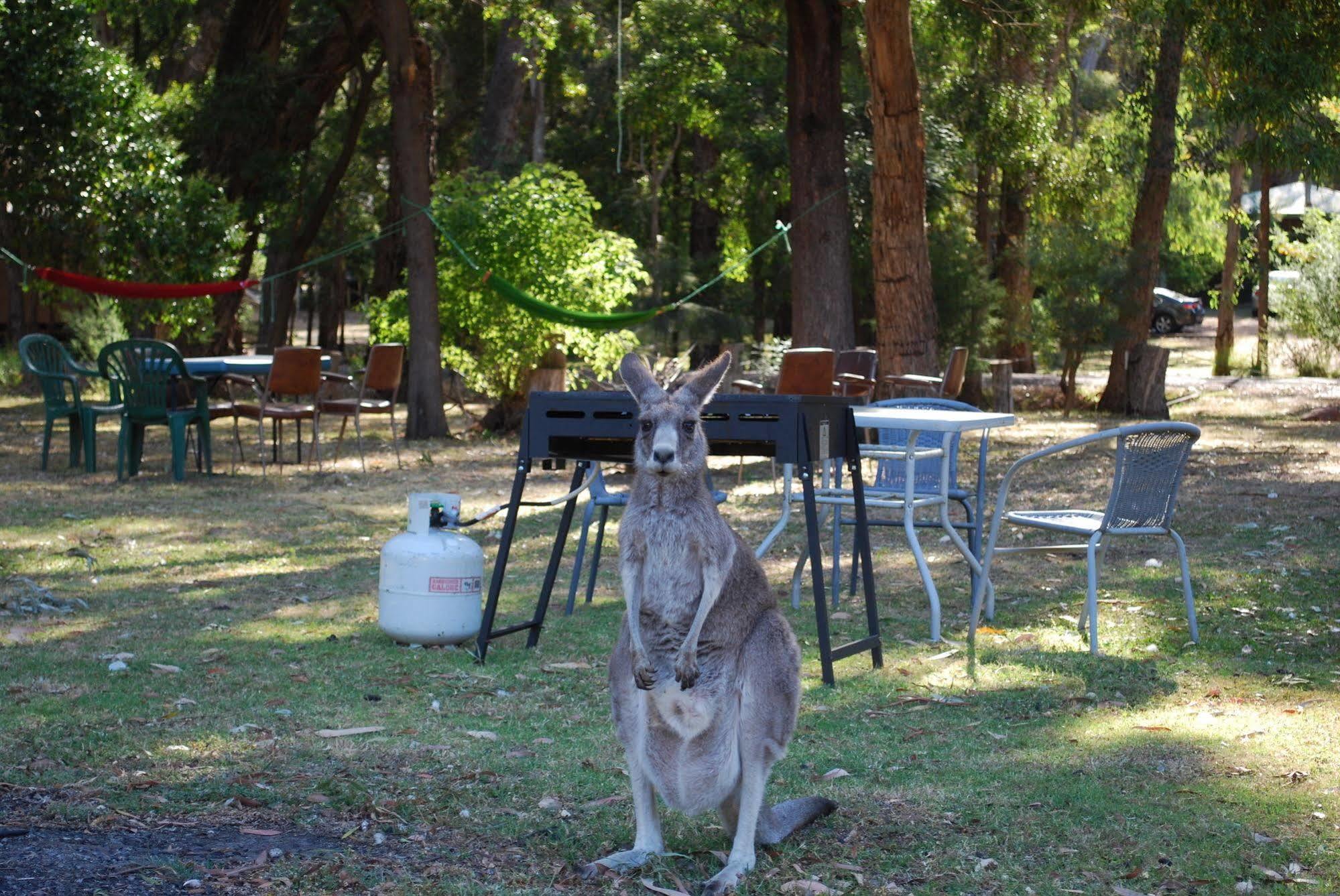 Gariwerd Motel Halls Gap Exterior photo